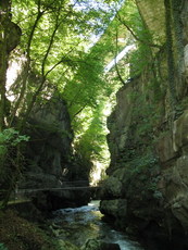 Schweiz Biel Taubenlochschlucht 003.JPG